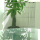 P15 Outdoor Curtain Transparent LED Display
