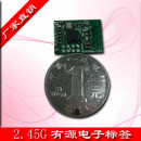 UHF 微波电子标签/2.4G有源标签模块/超小体积无线模块