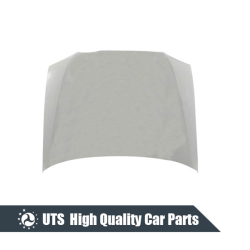 HOOD FOR ACCENT 03-05