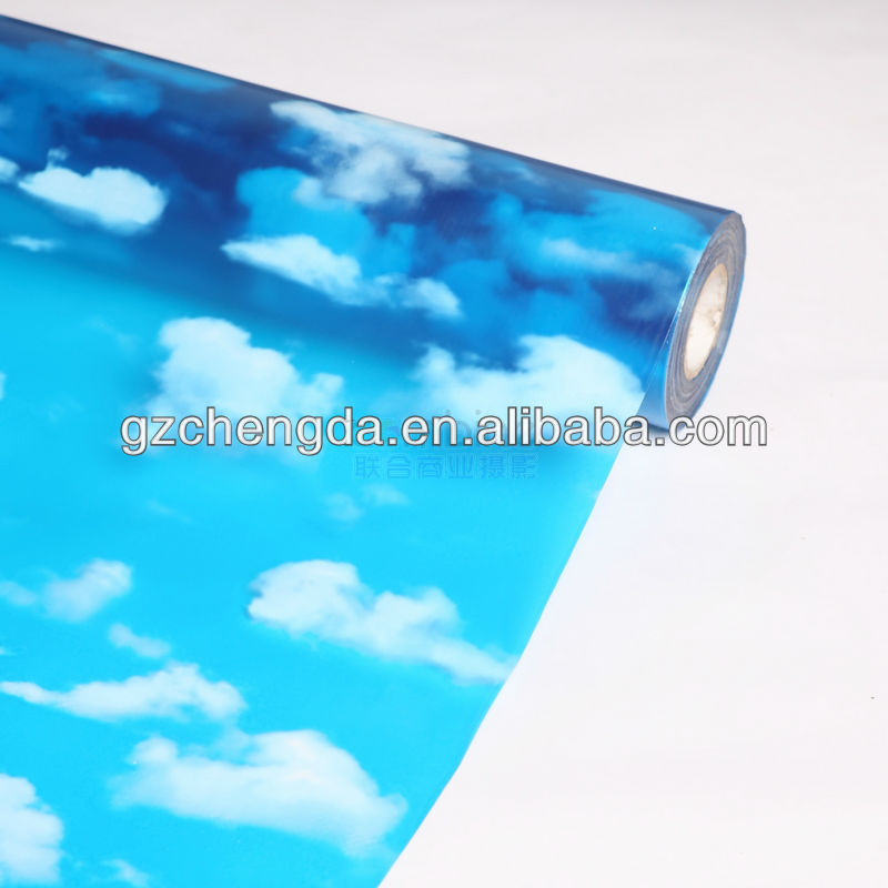 2013 venda quente da cor imprimir película de vidro para decoração