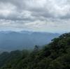 Trip to Sanqingshan Mountain