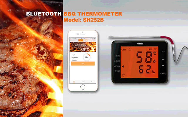 Digital Thermometer and Hygrometer, BBQ Meat Thermometer, Temperature Data Logger,