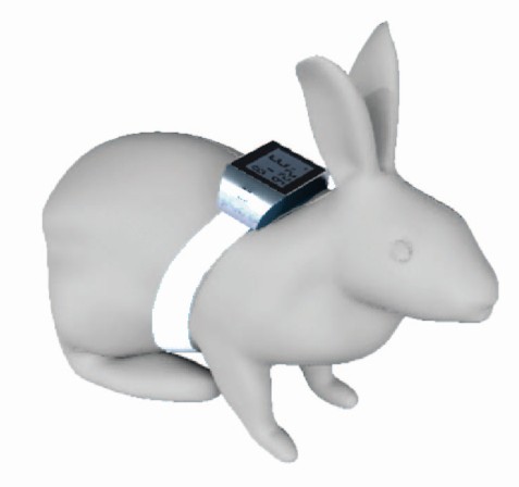 Turtle Rabbit Meter Implantable thermometer recorder for rabbit and mouse | Animal ...