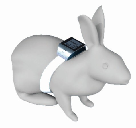 Implantable thermometer recorder for rabbit and mouse