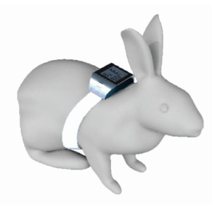 兔鼠试验动物植入式体温测量表记录仪。可穿戴方式体内体核皮下基础体温测量