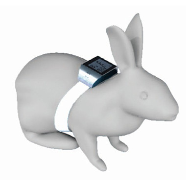 兔鼠试验动物植入式体温测量表记录仪。可穿戴方式体内体核皮下基础体温测量