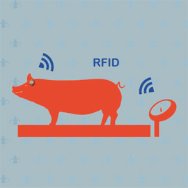猪场RFID称重仪