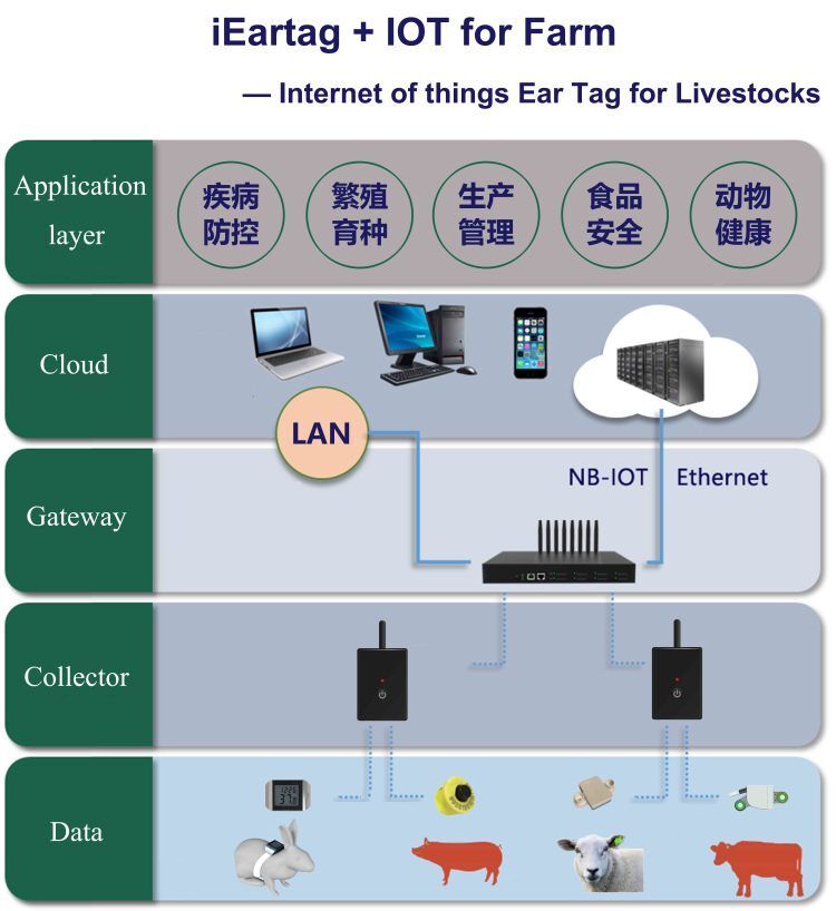 iEartag + IOT for FARM-Internet of things Ear Tag for Liverstocks