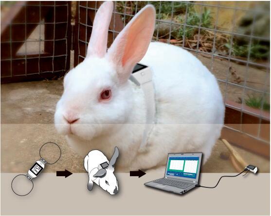 real-time measurement, storage and transmission of data to PC terminal through wearable thermometer.