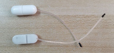 Wearable and Implantable Animals Thermometer with Temp View App