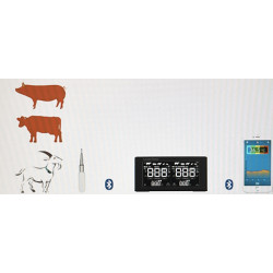 Wireless Thermometer for Animal