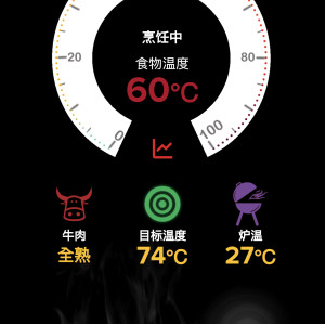 2025 NEW Ultimate Meat Thermometer with LED