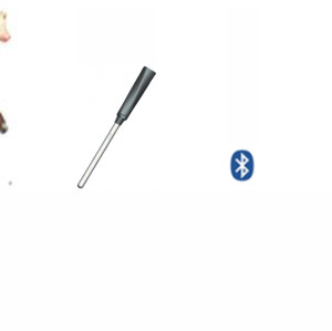 Animal Rectal Thermometer