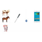 Animal Rectal Thermometer