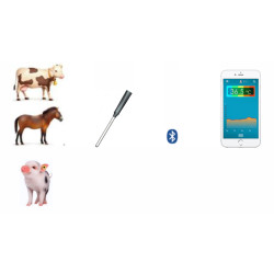 Animal Rectal Thermometer