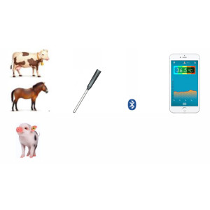 Animal Rectal Thermometer