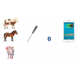Wireless Bluetooth Animal Anal Temperature Probe Recorder Mobile App Download Storage Data