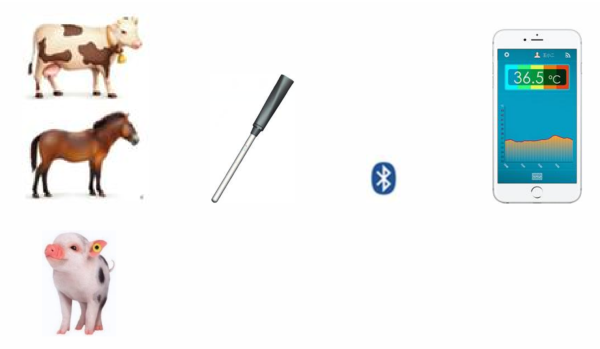 Wireless Bluetooth Animal Anal Temperature Probe Recorder Mobile App Download Storage Data