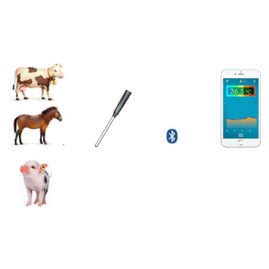 Wireless Bluetooth Animal Anal Temperature Probe Recorder Mobile App Download Storage Data