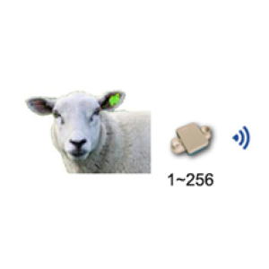 羊体温遥测系统—AI智能养殖装备