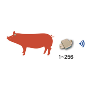 Pig Temperature Telemetry System