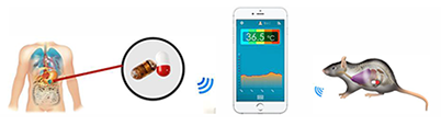 Bluetooth wireless Capsule Thermometer for Core Temperature Measurement for animals experiments with TempView App