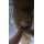 Implantable thermometer recorder for rabbit and mouse