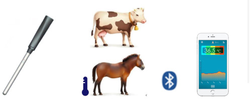 Animal Bluetooth Thermometer rectal Steel probe Wireless Bluetooth Animal Anal Temperature Probe Recorder TempView App Storage Data Recorder