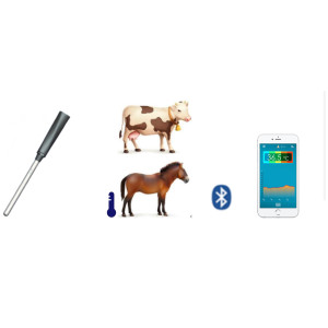 Animal Bluetooth Thermometer rectal Steel probe Wireless Bluetooth Animal Anal Temperature Probe Recorder TempView App Storage Data Recorder