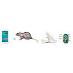 Capsule body Thermometer