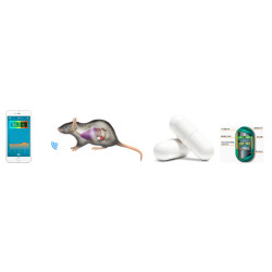 Capsule body Thermometer