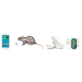 Capsule body Thermometer