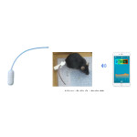 Implantable Body Core Thermometer