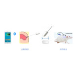 Rectum/oral cavity Thermometer