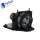 phoenix porjector lamps shp22 for infocus LP500 SP-LAMP-LP5F