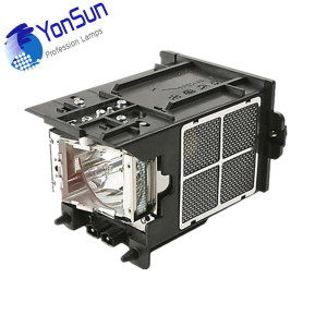 100% new Original projector Lamp P-VIP 330/1.0 E20.9n R9832752 for BARCO RLM W8