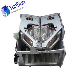 Pair of Original Projector Lamps R9852940 for Barco RLM G5 projector G5i H5 R6+ R6 P-VIP 250W