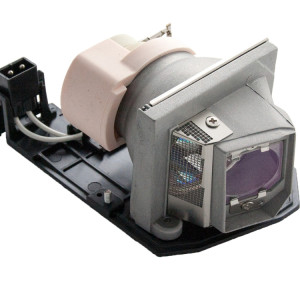 BL-FP230D projector parts VIP230W 0.8 E20.8 bare lamp with housing for HD20,,EX615