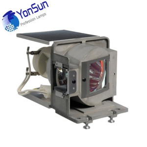 Optoma P-VIP 240W BL-FP240A Projector Lamp