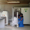 Noblegen为国际热带农业研究所提供现场液氮发生器装置