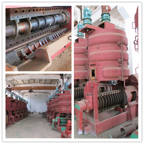 Oil Extraction Machine