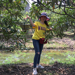 A Journey of Picking Loquat