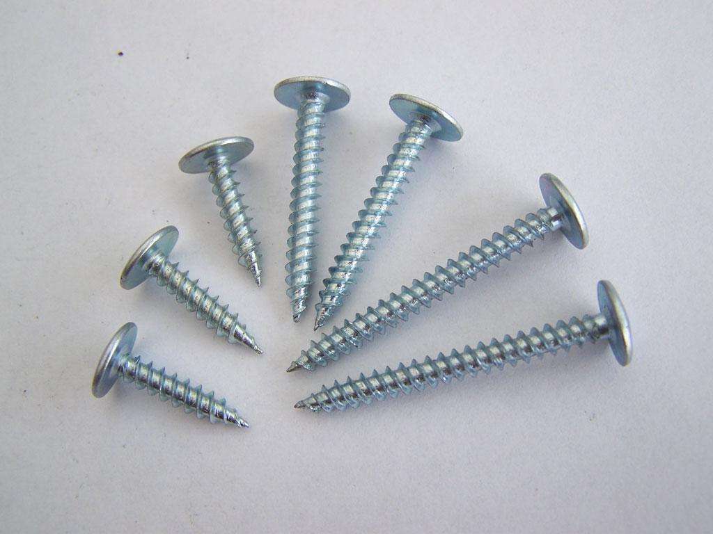 screw nail