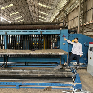 Hexagonal Mesh Weaving Machine for Gabion Machine/Gabion Mesh Machine