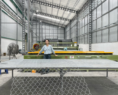 Hexagonal Mesh Weaving Machine for Gabion Machine/Gabion Mesh Machine