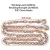 2 Pack Transport Chain with 3/8" Clevis Hooks Grade 70,3/8"x10' Heavy Duty Binding Chain