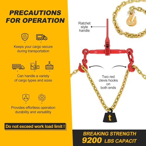 1/4" - 5/16" Ratchet Chain Binder 2600LBS with 1/4" X 12FT Binder Chain 3150LBS with Grappling Hook for Tie Down Heavy Loads to a Truck or Flatbed Trailer