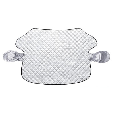 Car Front Window Visor Snowboard and Cover