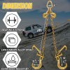 ATLI G70-5162B Catena da Neve Auto