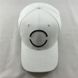 hight quality 10*10 heavy brushed cotton baseball sport cap with raised embroidery logo